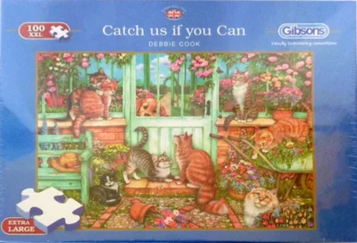 Catch us if you Can