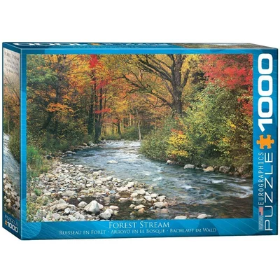 Forest Stream