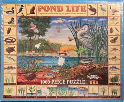 Pond Life