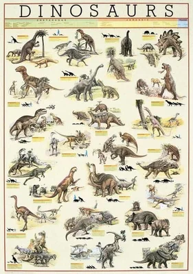 DINOSAURS