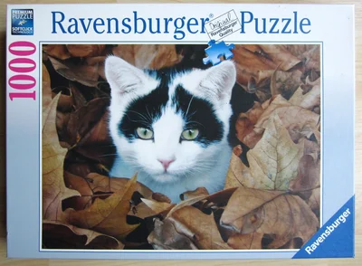 Kätzchen im Laub