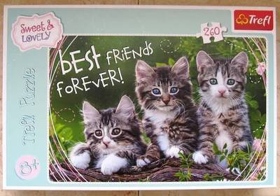 Best Friends Forever!