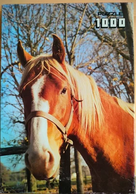 Paard