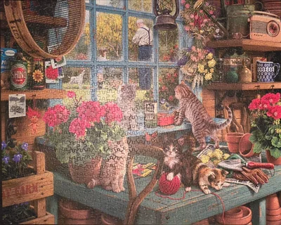 Curious Kittens