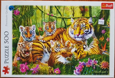 Family of Tigers