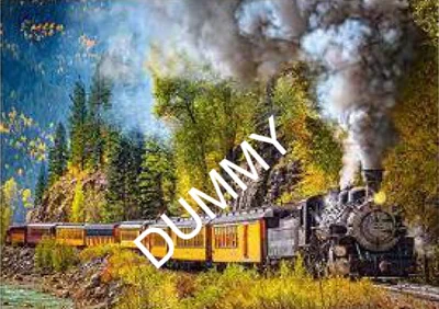 Steam Train Trip