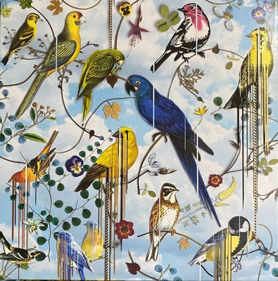 Bird’s Sinfonia