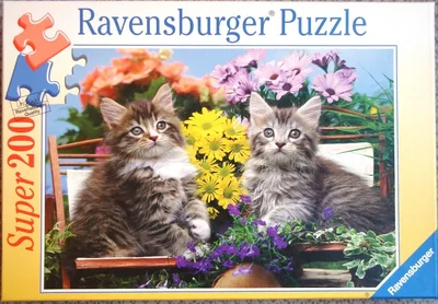 Katzenfreunde