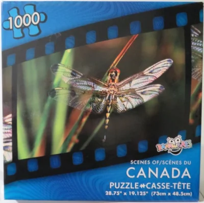 Dragonfly