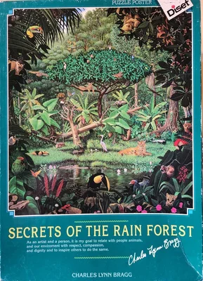 Secrets of the Rain Forest