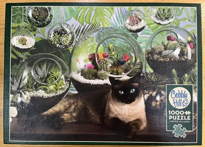 Terrarium Cat
