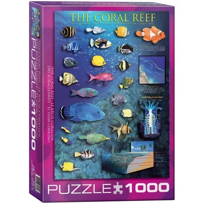 The Coral Reef