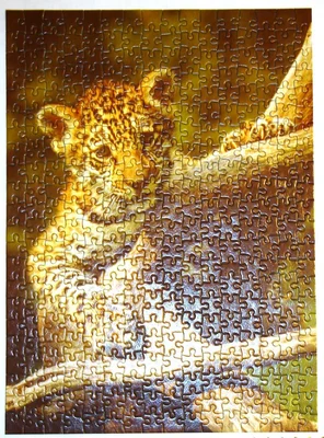 Jaguar