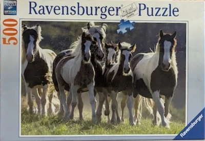 Horse Family