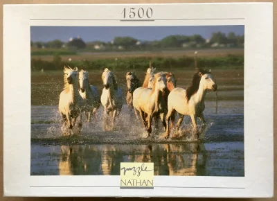 Cantering in the Camargue