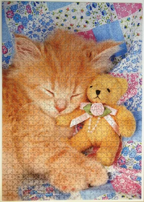 Kitty & the Bear
