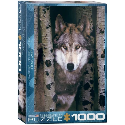 Gray Wolf