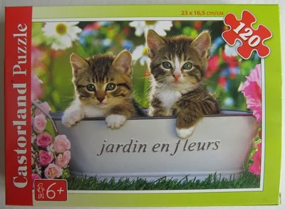 Jardin en fleurs