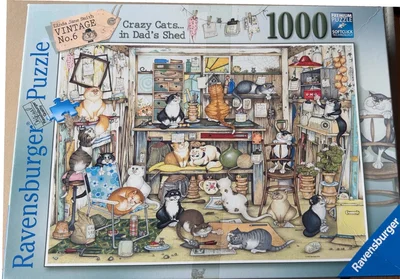 Crazy Cats… in Dad’s Shed