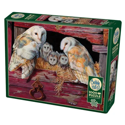 Barn owls