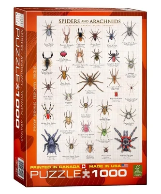 Spiders and Arachnids