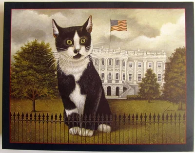 Patriotic Cat