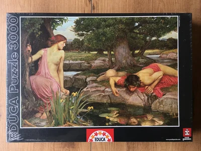 Echo and Narcissus