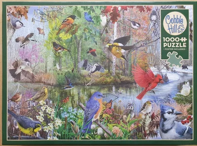 Birds of the Season