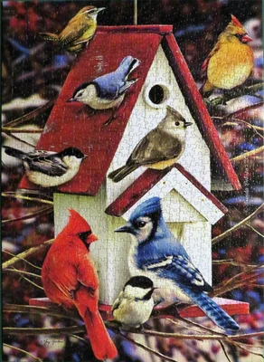 Winter Birdhouse