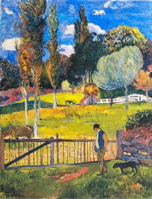 Landscape