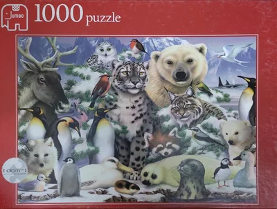 Animaux polaires
