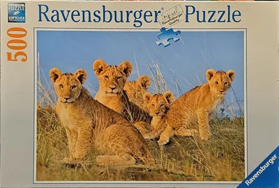 Lion Babies