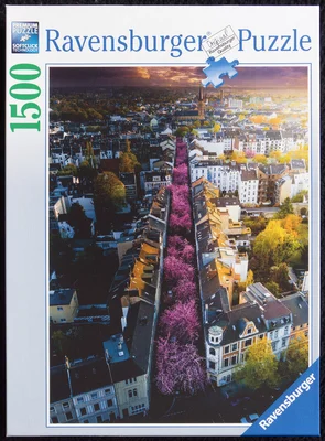 Bonn in Bloom