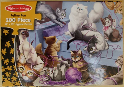 Feline Fun