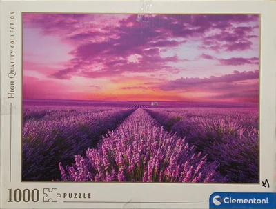 Lavender Field