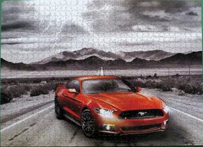 Fifty Years of Power, 2015 Ford Mustang GT