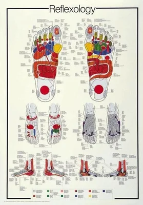REFLEXOLOGY