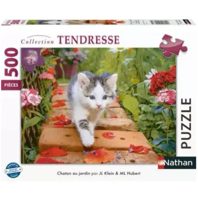 Chaton au jardin