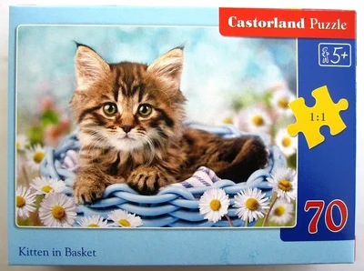 Kitten in Basket