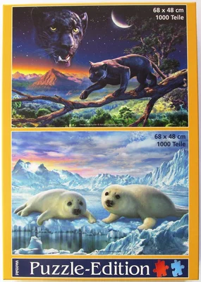 Eternal Winter