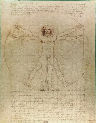 The Vitruvian Man