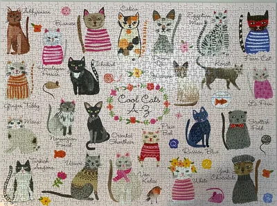 Cool Cats A-Z