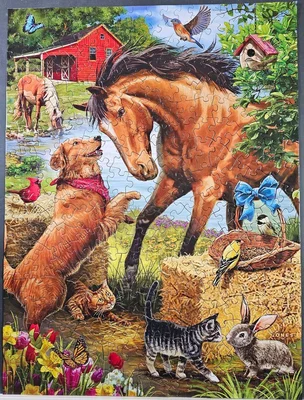Horse Play