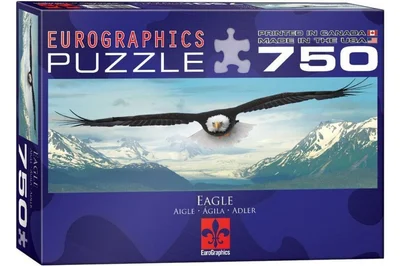 Eagle over Mountain