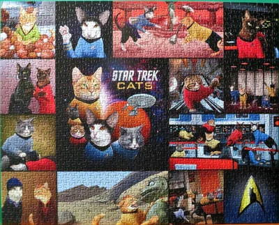 Star Trek Cats