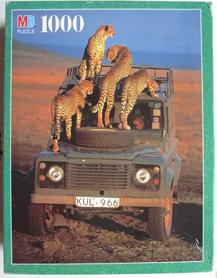 Curious Cheetah Family