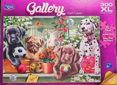 Shelf Puppies