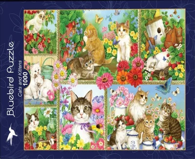 Cats and Kittens