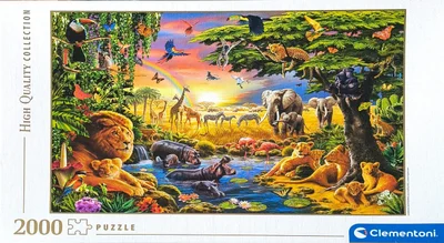 The African Gathering
