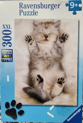 The Cuddly Kitten